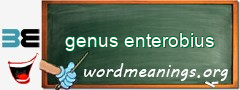 WordMeaning blackboard for genus enterobius